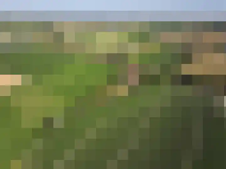 Molendijk 3 Oud-Vossemeer thumbnail 50