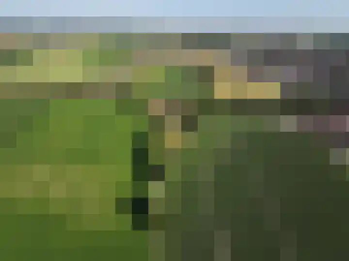 Molendijk 3 Oud-Vossemeer thumbnail 51