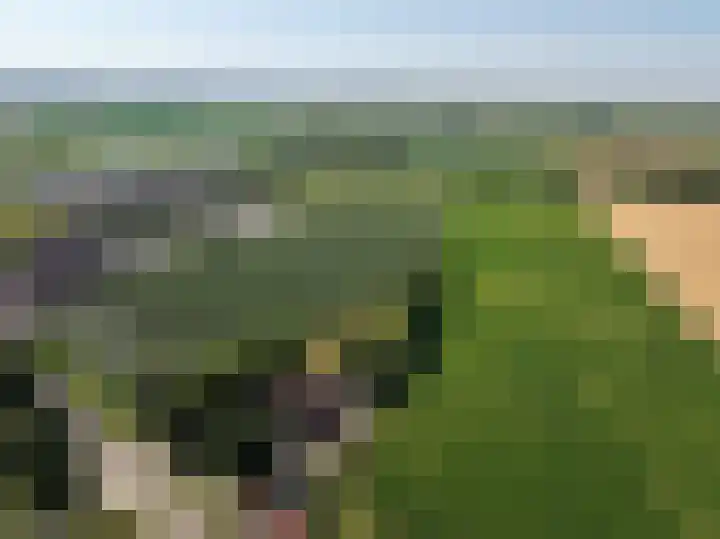 Molendijk 3 Oud-Vossemeer thumbnail 53