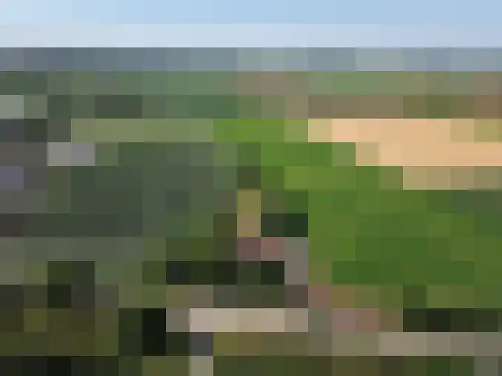 Molendijk 3 Oud-Vossemeer thumbnail 54