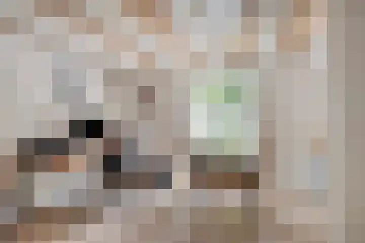 Molendijk 3 Oud-Vossemeer thumbnail 6