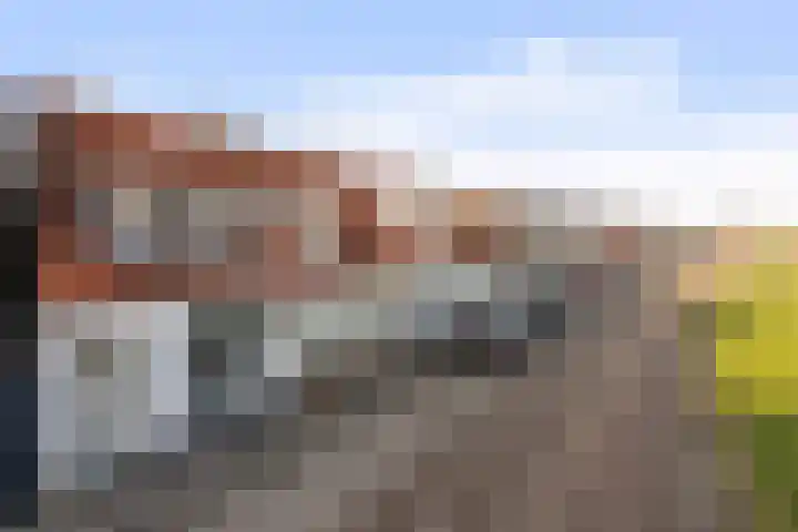 Molendijk 3 Piershil thumbnail 4