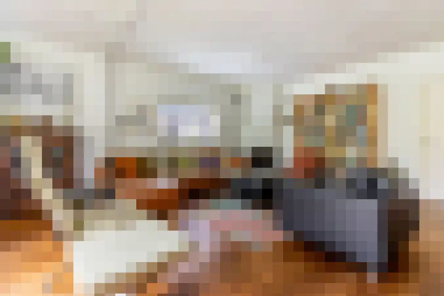 Molendijk 30 b Stad aan 't Haringvliet thumbnail 18