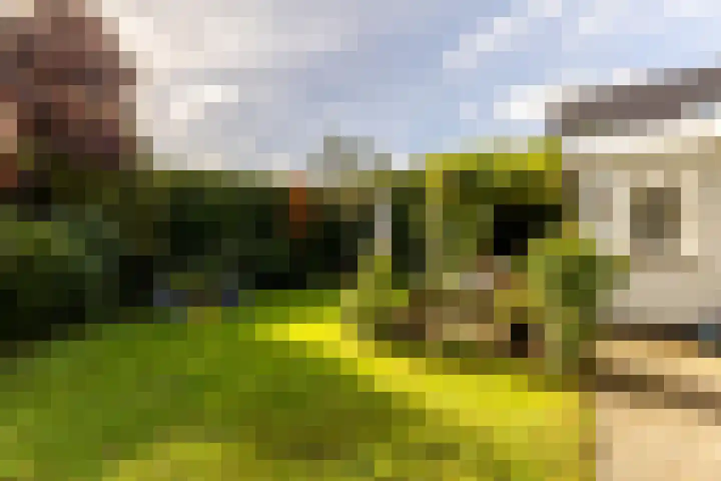 Molendijk 30 b Stad aan 't Haringvliet thumbnail 22