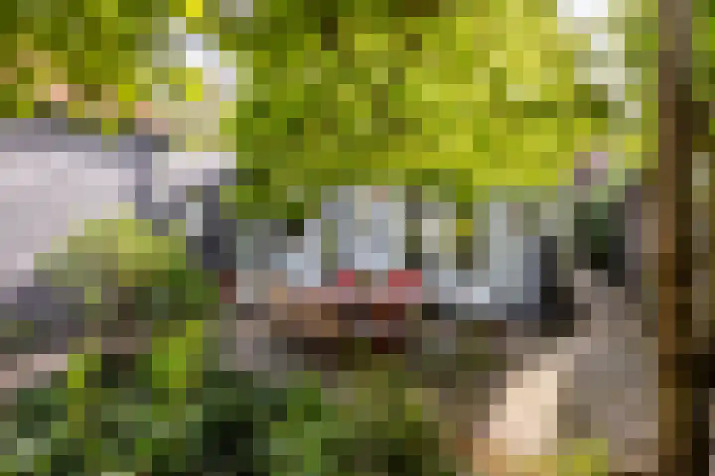 Molendijk 30 b Stad aan 't Haringvliet thumbnail 33