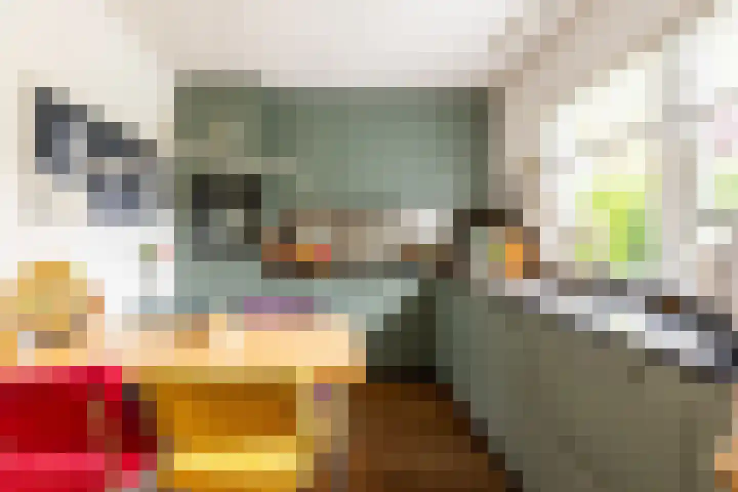 Molendijk 30 b Stad aan 't Haringvliet thumbnail 4