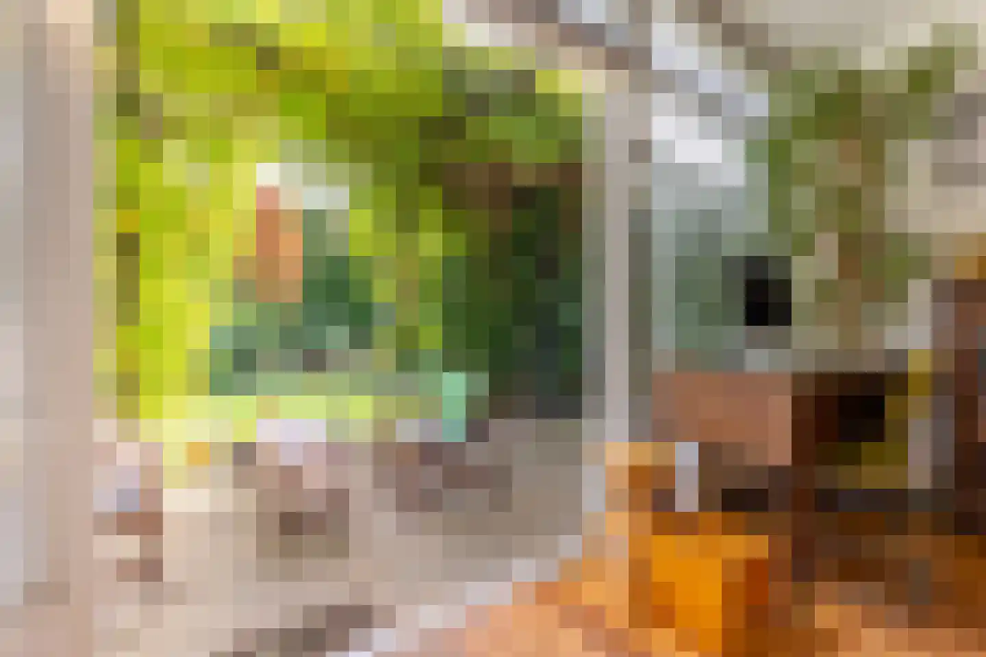 Molendijk 30 b Stad aan 't Haringvliet thumbnail 6