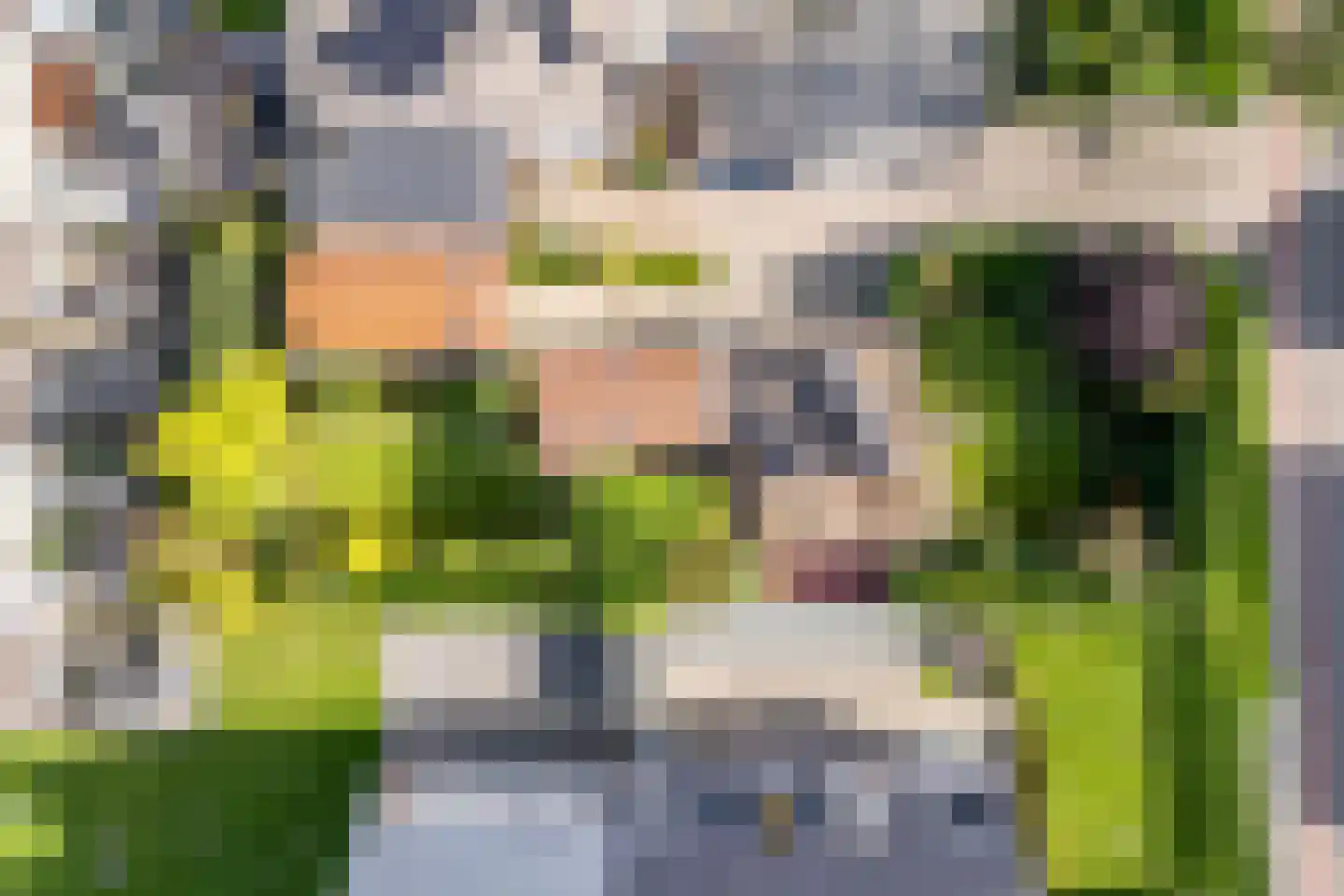 Molendijk 30 b Stad aan 't Haringvliet thumbnail 60
