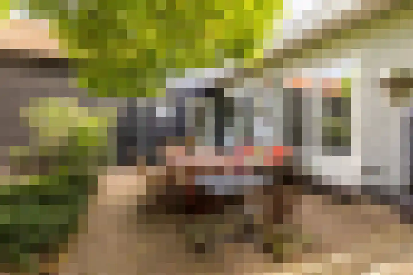 Molendijk 30 b Stad aan 't Haringvliet thumbnail 7