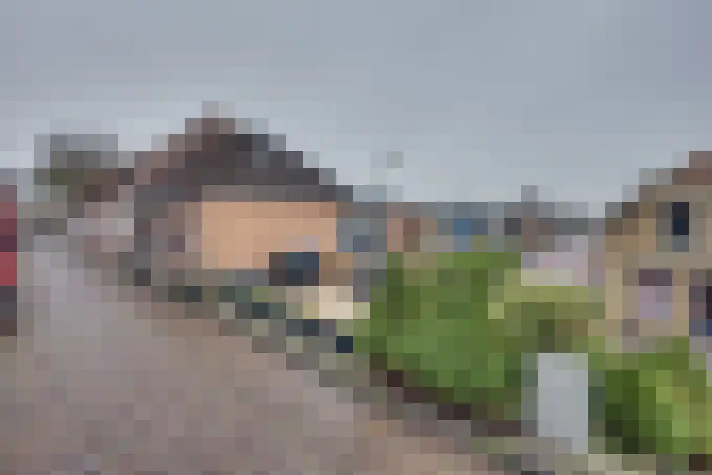Molendijk 32 Ooltgensplaat thumbnail 4