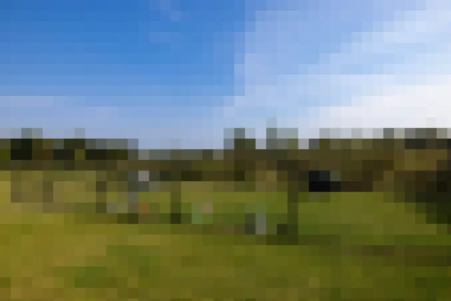 Molendijk 32 Rhoon thumbnail 23