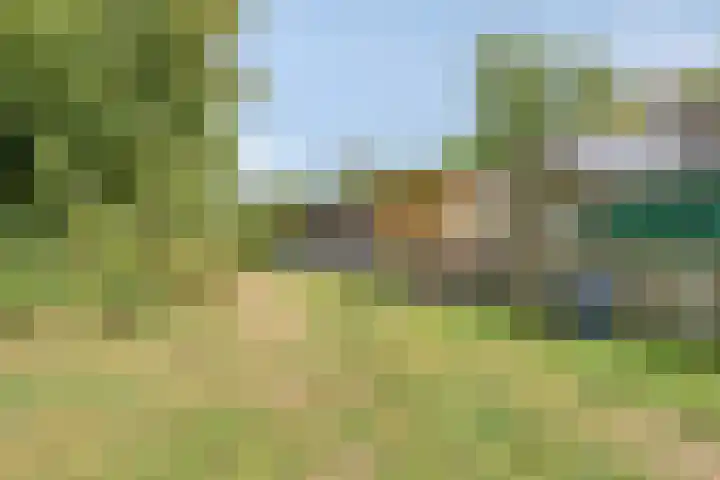 Molendijk 32 's-Heerenhoek thumbnail 20