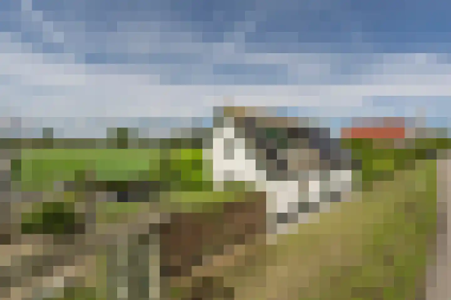 Molendijk 33 Piershil thumbnail 4