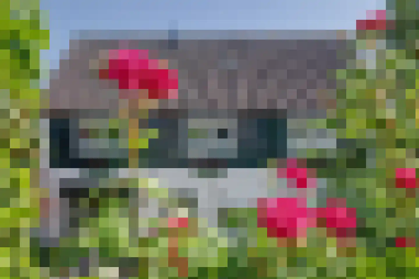 Molendijk 33 's-Gravendeel