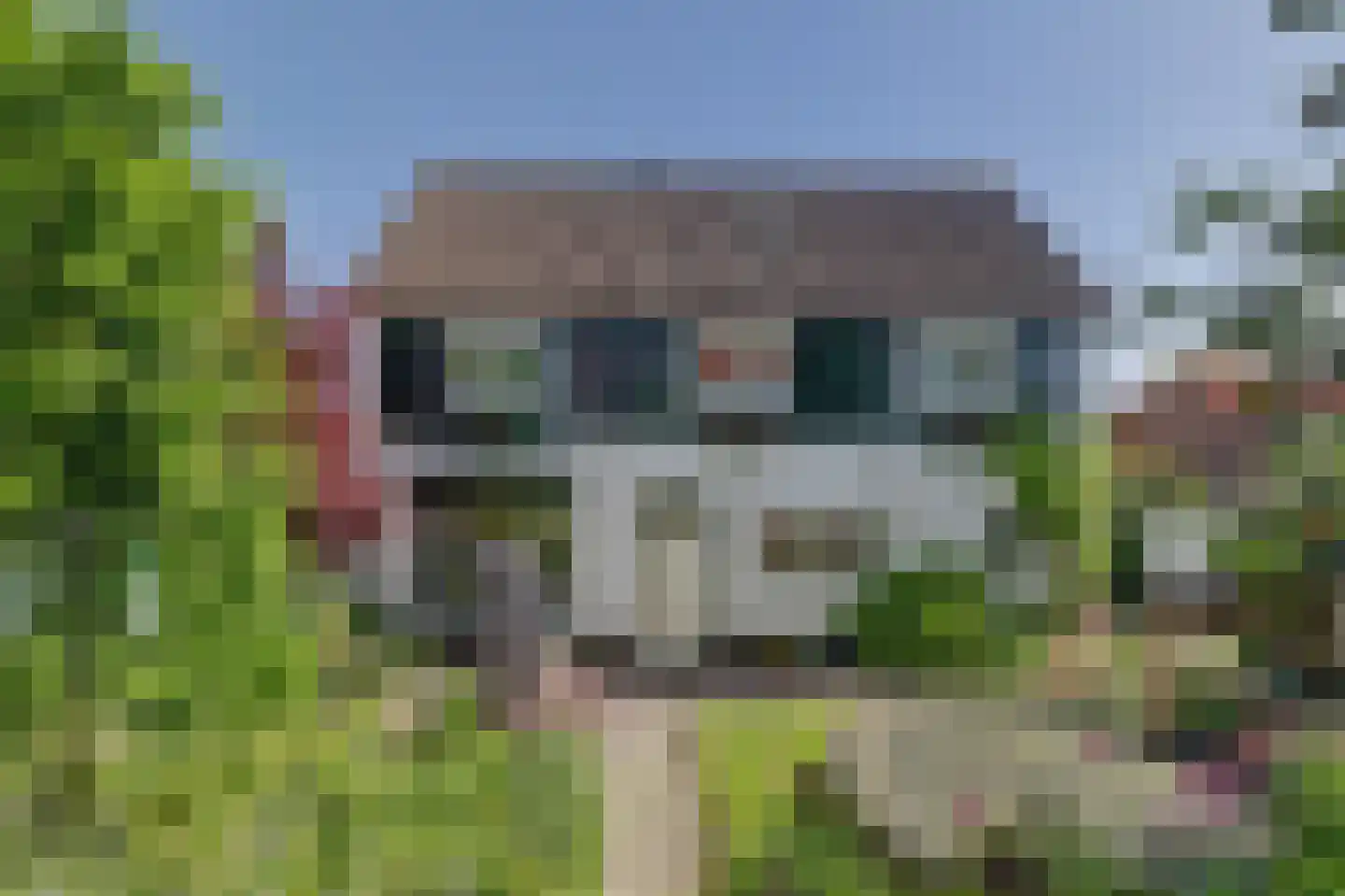 Molendijk 33 's-Gravendeel thumbnail 10