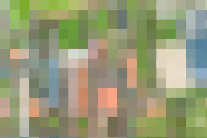 Molendijk 34 's Gravenmoer thumbnail 11