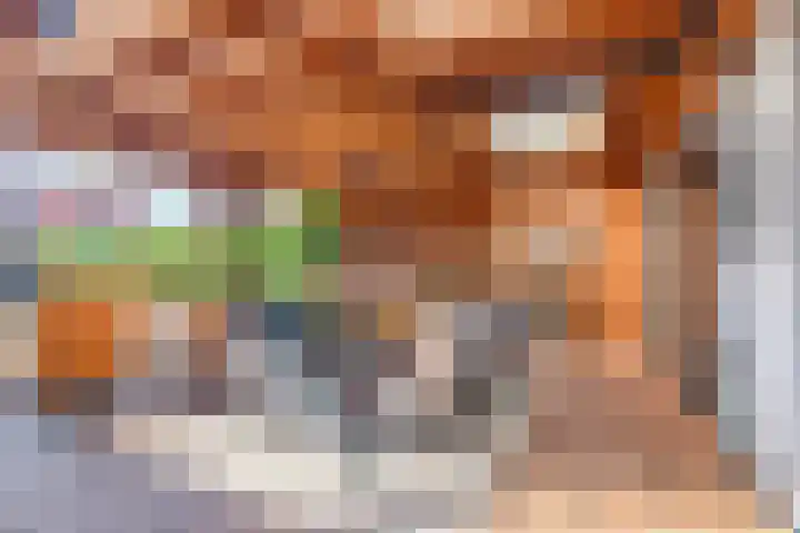 Molendijk 34 's Gravenmoer thumbnail 29