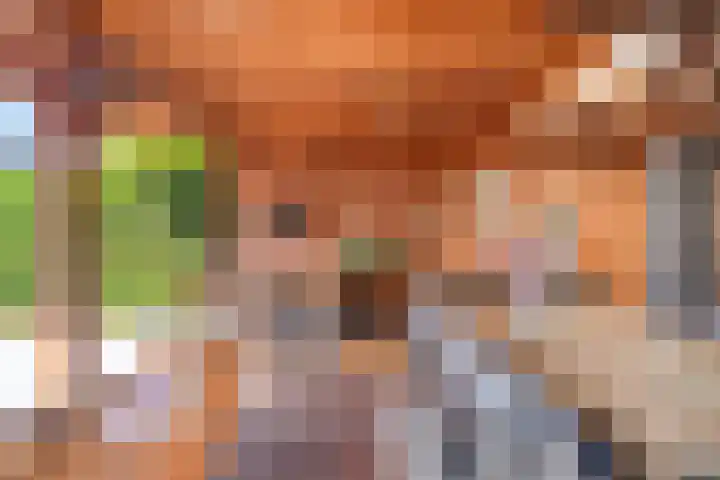 Molendijk 34 's Gravenmoer thumbnail 30