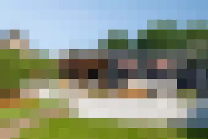 Molendijk 34 's Gravenmoer thumbnail 31