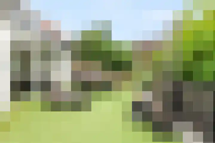 Molendijk 34 's Gravenmoer thumbnail 34