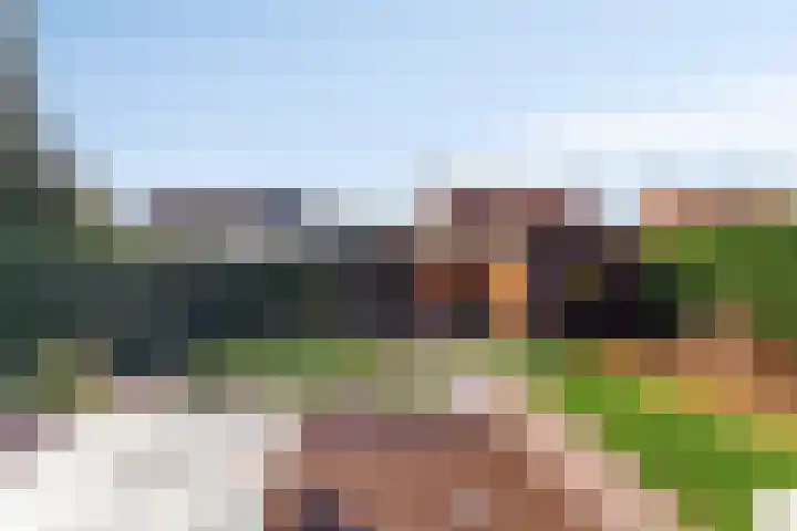 Molendijk 34 's Gravenmoer thumbnail 35