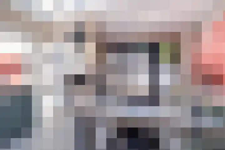 Molendijk 34 's Gravenmoer thumbnail 39