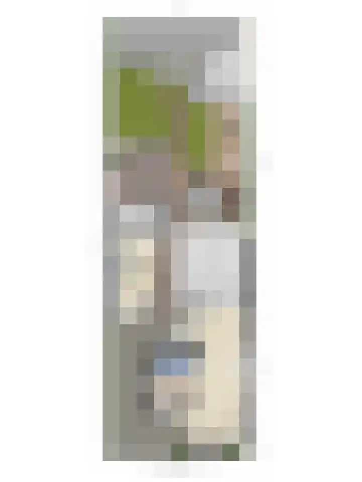 Molendijk 34 's Gravenmoer thumbnail 46