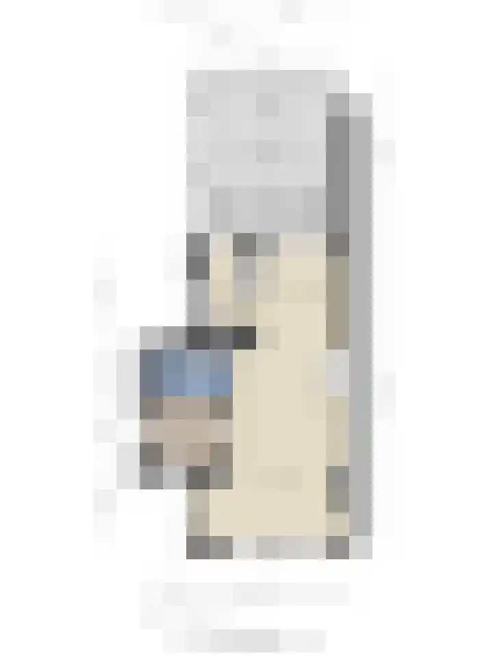 Molendijk 34 's Gravenmoer thumbnail 47