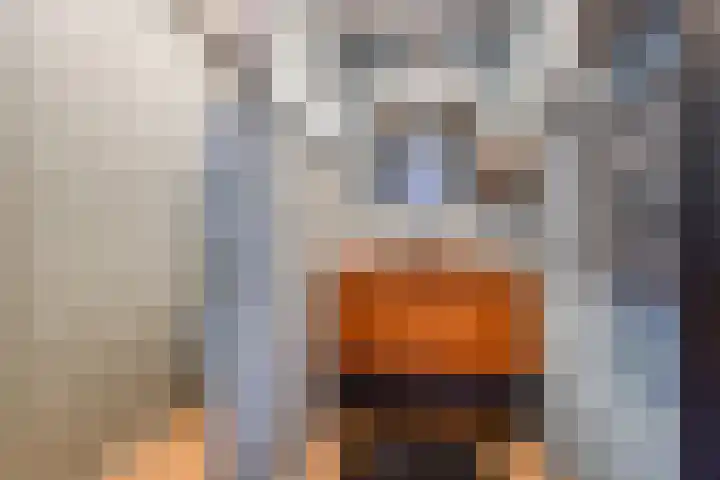 Molendijk 34 's Gravenmoer thumbnail 5