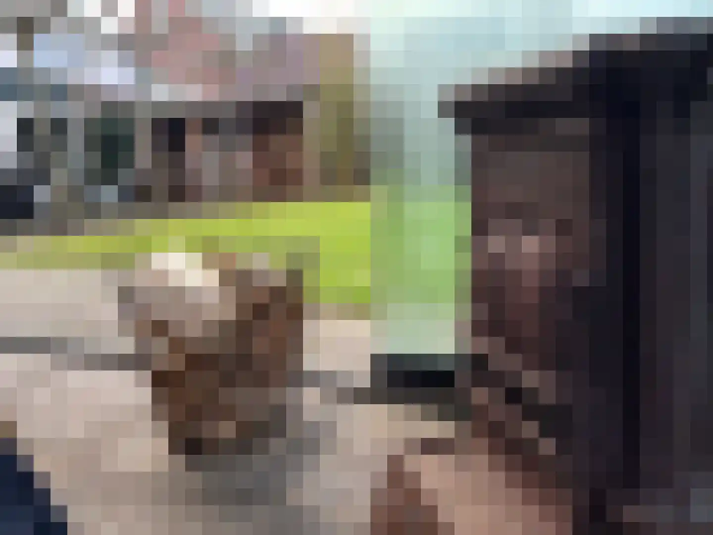 Molendijk 34 Stad aan 't Haringvliet thumbnail 10