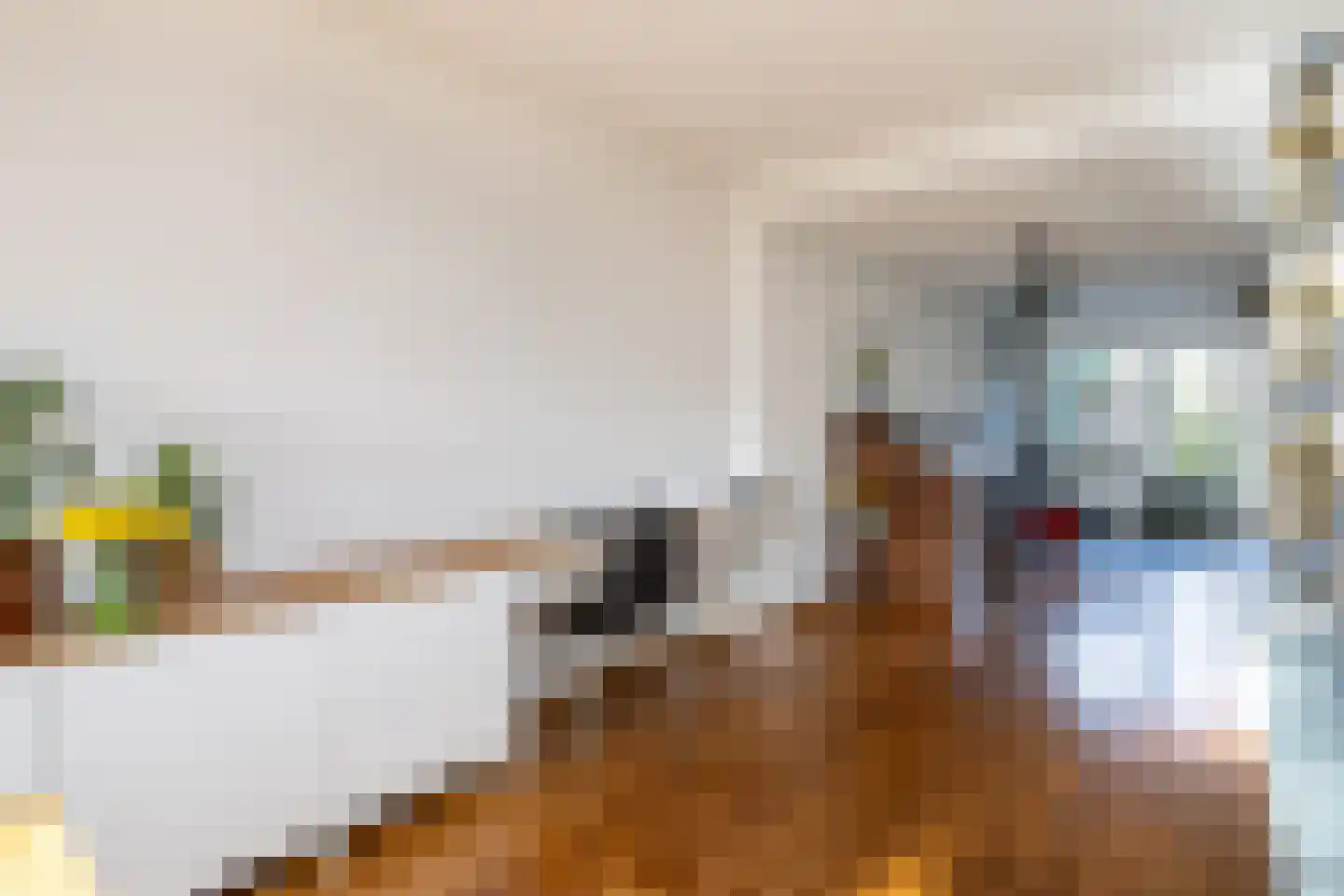Molendijk 34 Stad aan 't Haringvliet thumbnail 14