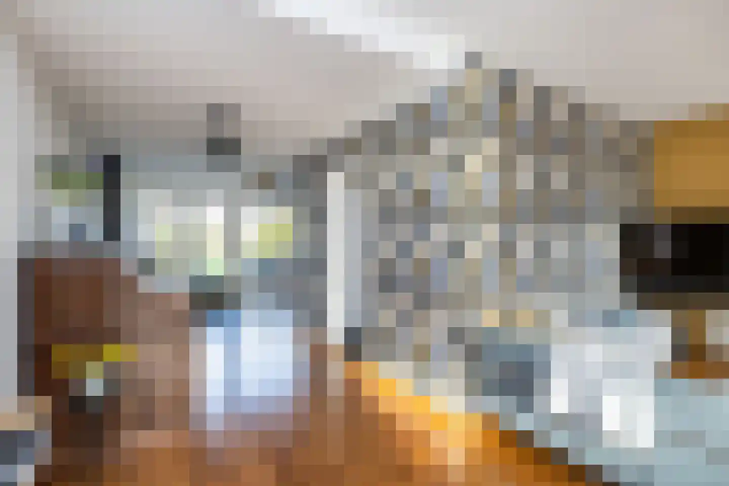 Molendijk 34 Stad aan 't Haringvliet thumbnail 15