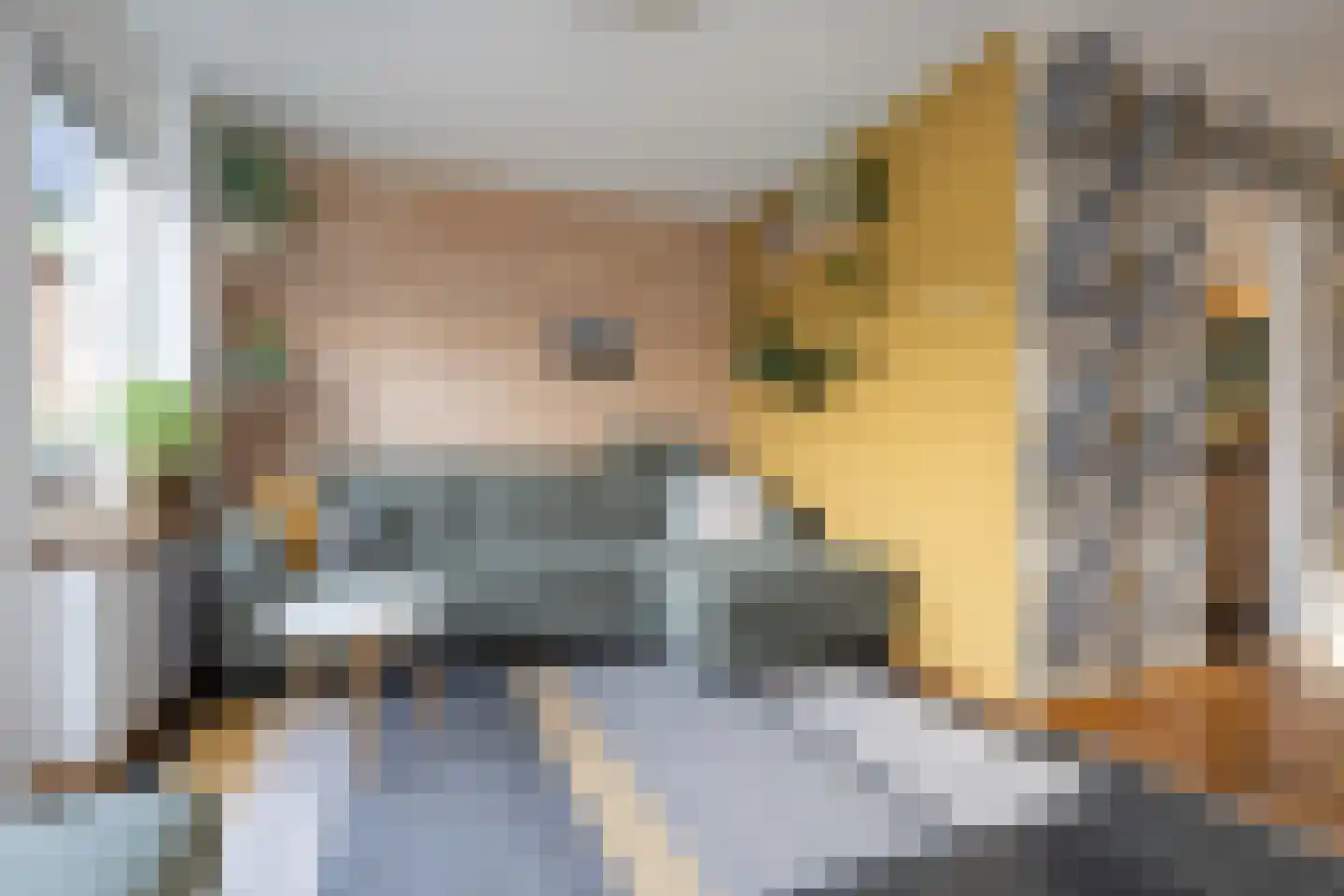 Molendijk 34 Stad aan 't Haringvliet thumbnail 19