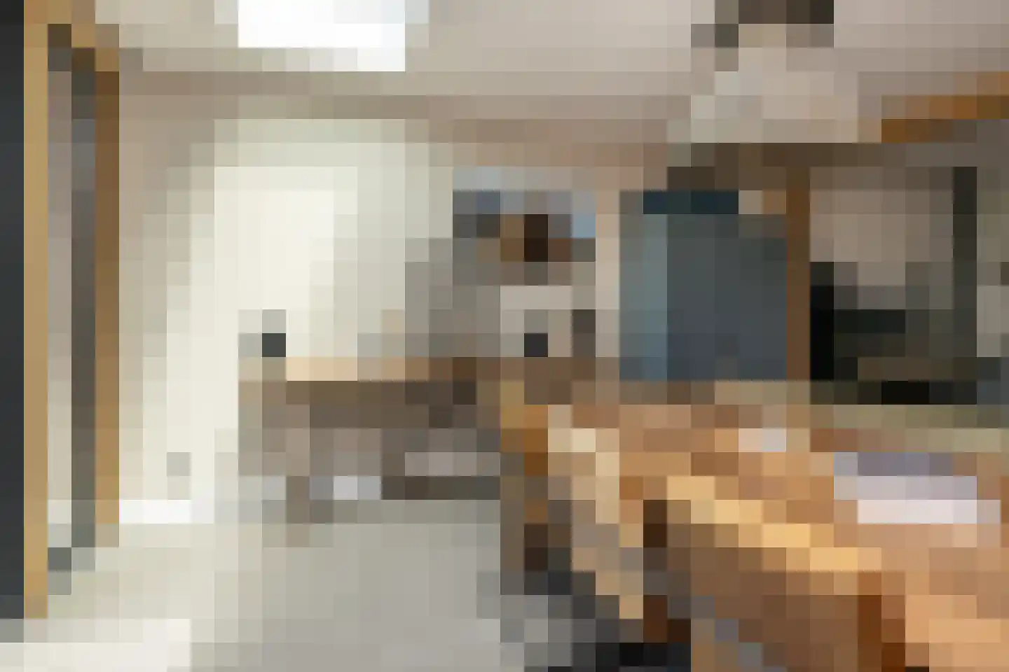 Molendijk 36 Stad aan 't Haringvliet thumbnail 14
