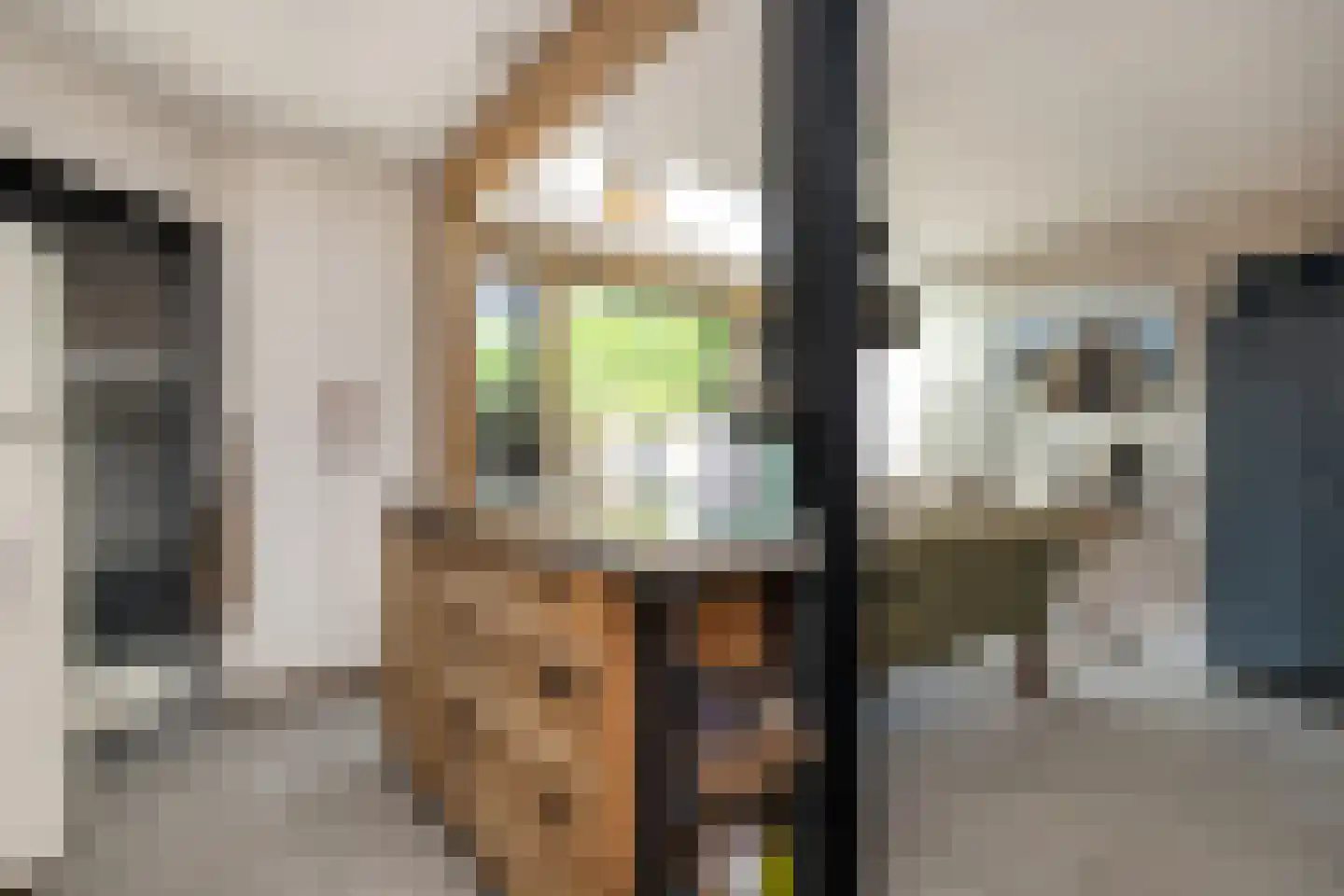 Molendijk 36 Stad aan 't Haringvliet thumbnail 16