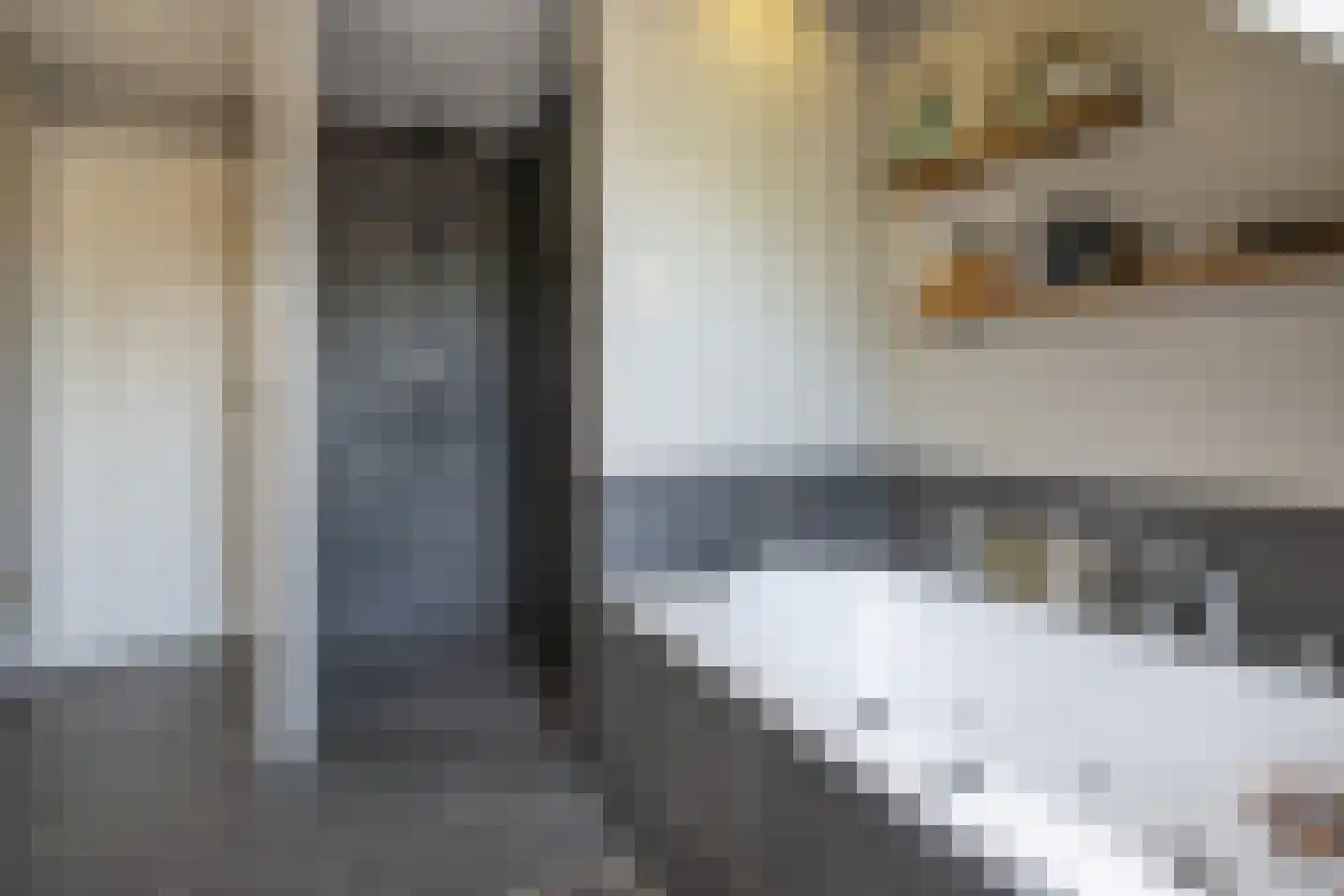 Molendijk 36 Stad aan 't Haringvliet thumbnail 26