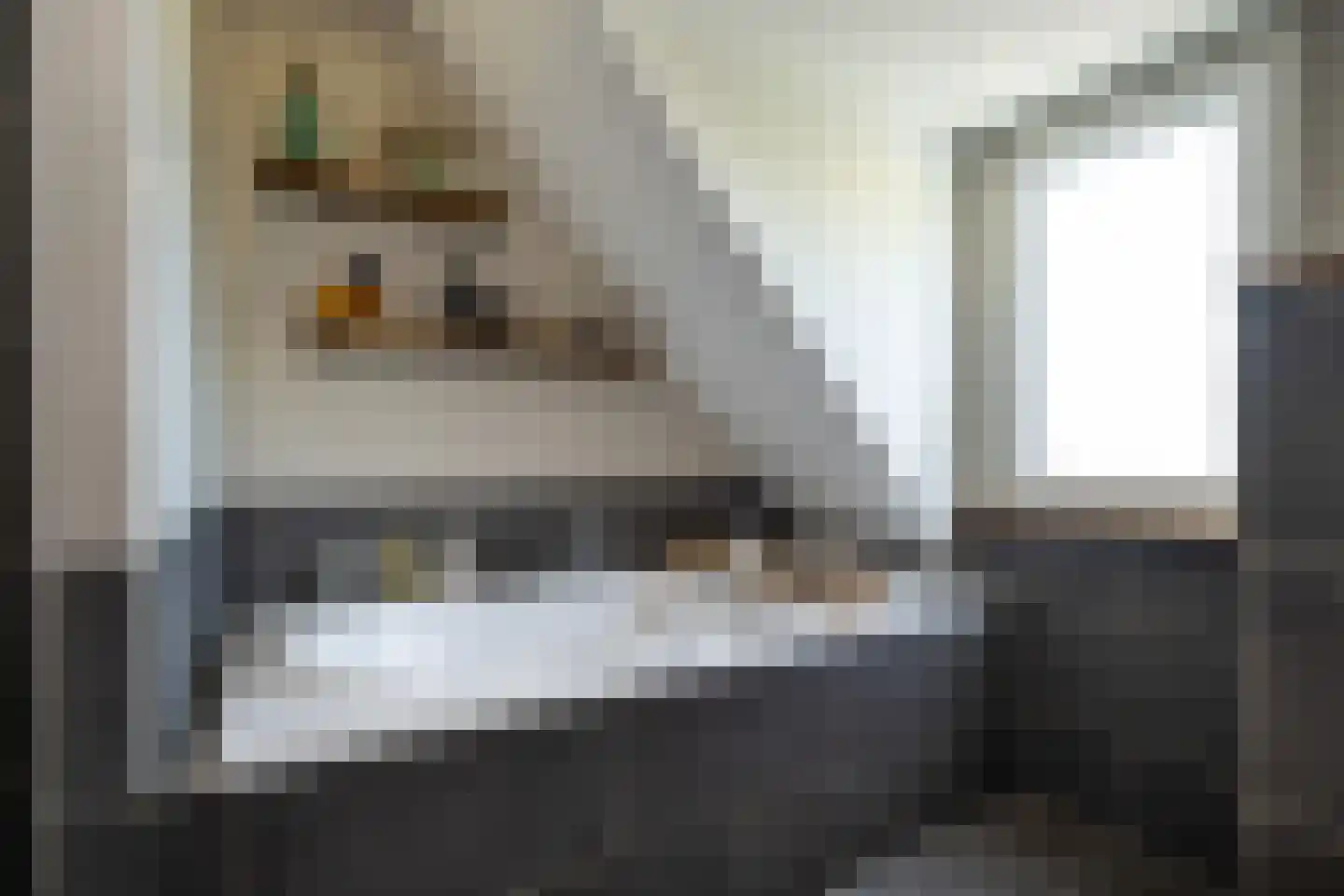 Molendijk 36 Stad aan 't Haringvliet thumbnail 29