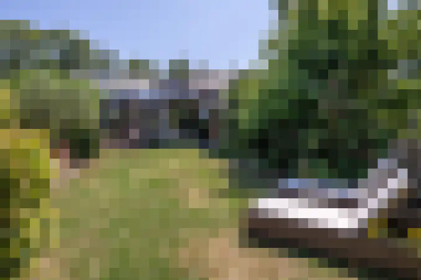 Molendijk 36 Stad aan 't Haringvliet thumbnail 4