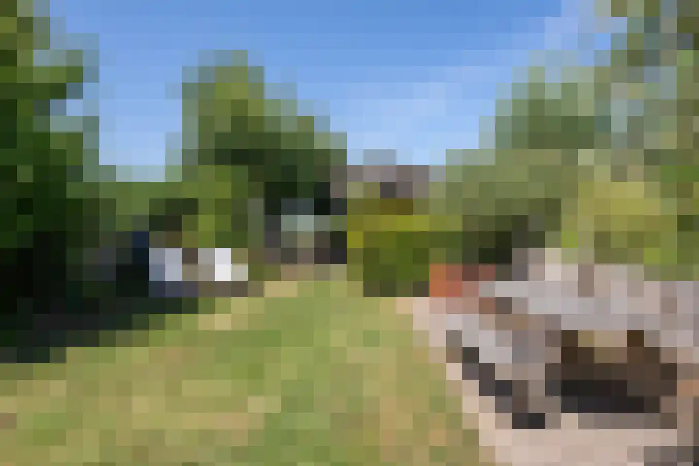 Molendijk 36 Stad aan 't Haringvliet thumbnail 43