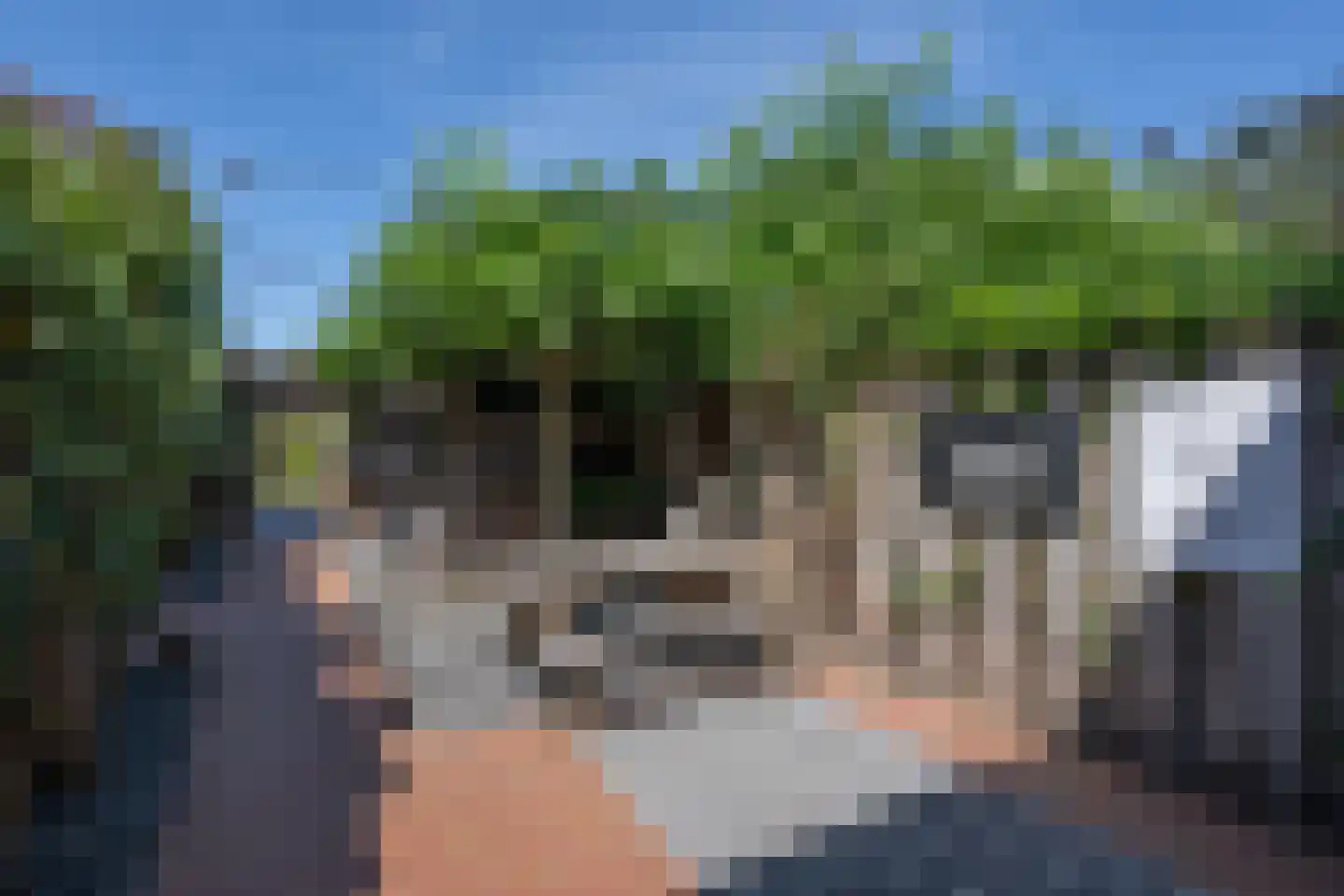 Molendijk 36 Stad aan 't Haringvliet thumbnail 46