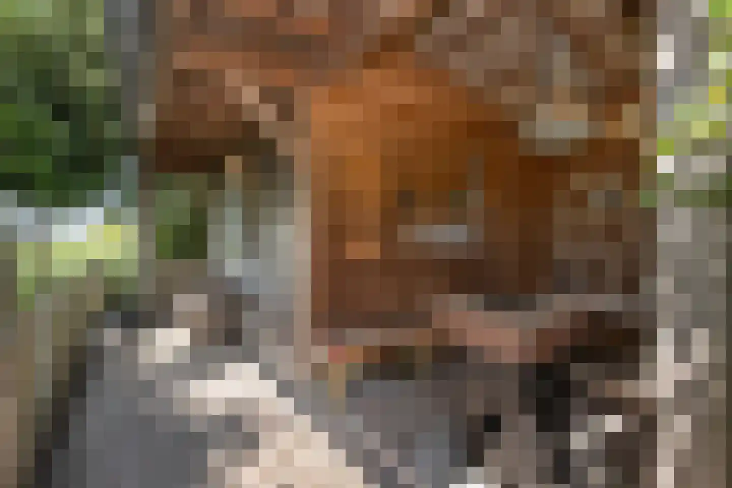 Molendijk 36 Stad aan 't Haringvliet thumbnail 6