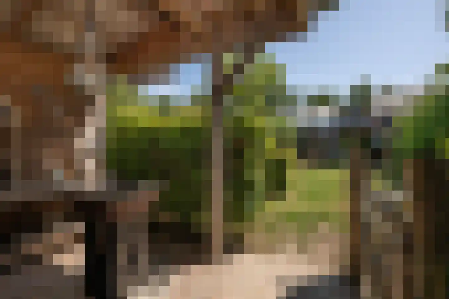 Molendijk 36 Stad aan 't Haringvliet thumbnail 7
