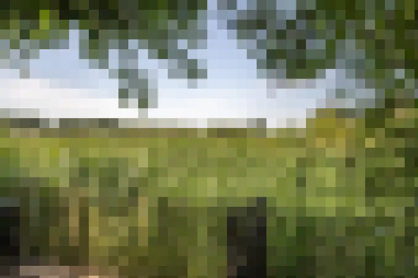 Molendijk 36 Stad aan 't Haringvliet thumbnail 8