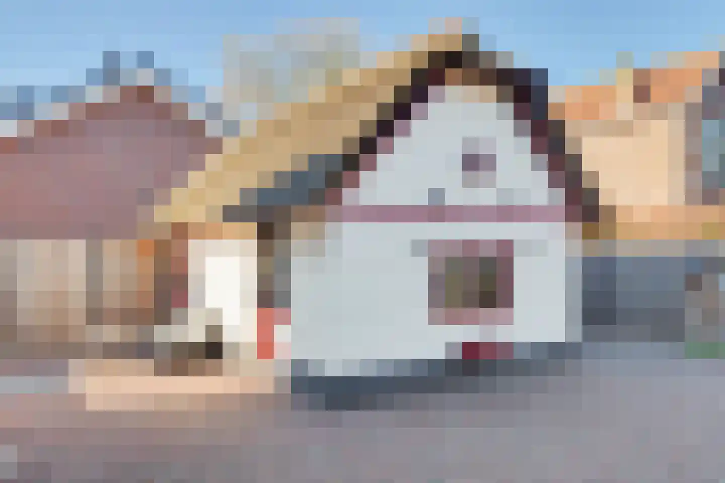Molendijk 40 Goudswaard thumbnail 31
