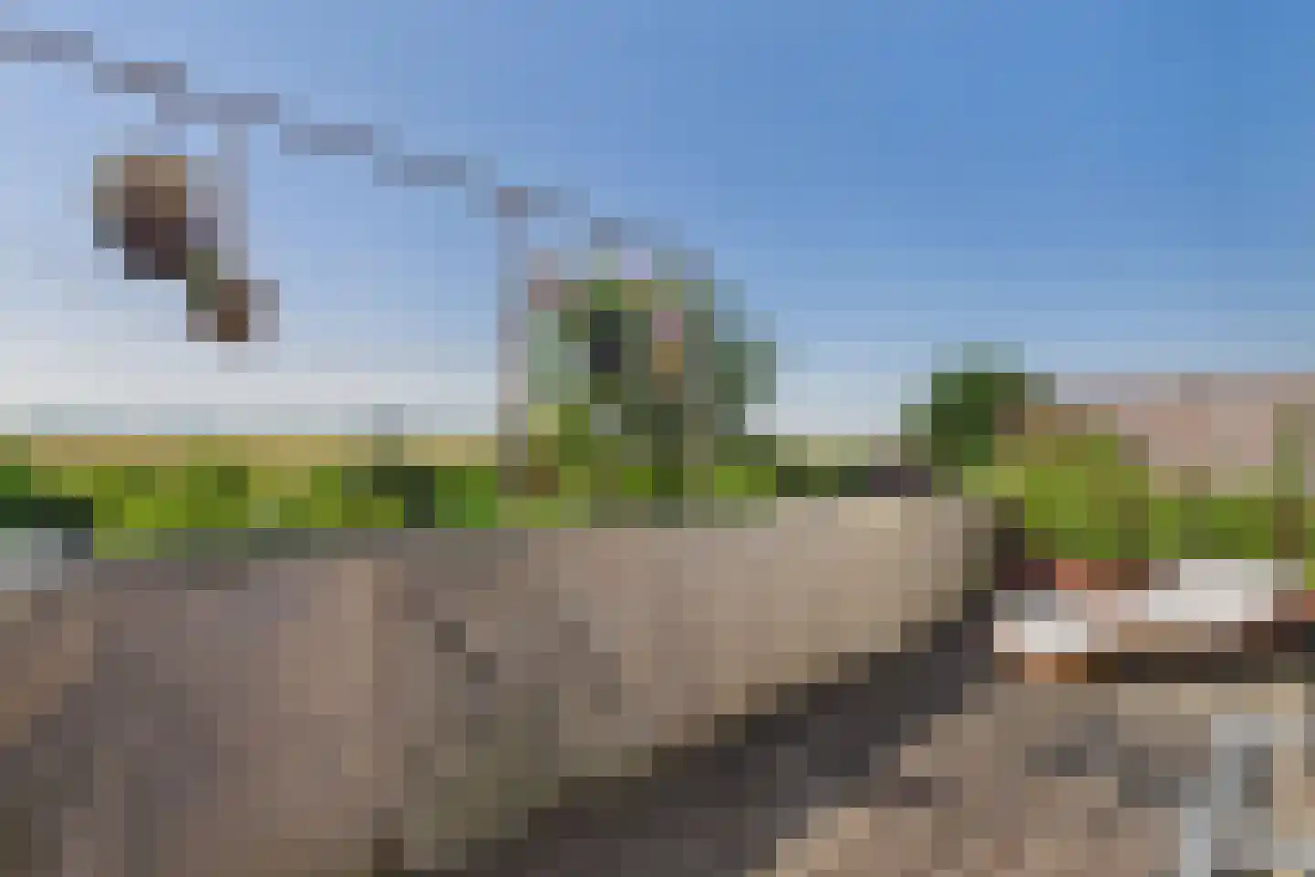 Molendijk 42 Hoek thumbnail 18