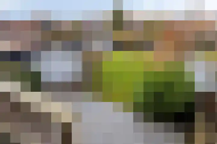 Molendijk 45 Herkingen thumbnail 4