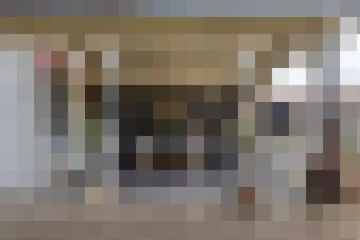 Molendijk 45 Herkingen thumbnail 41