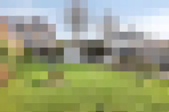 Molendijk 45 Herkingen thumbnail 5