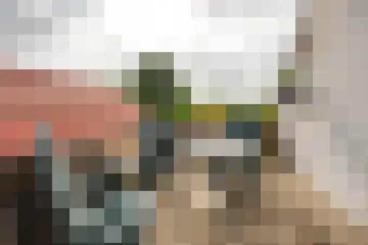 Molendijk 45 Melissant thumbnail 17
