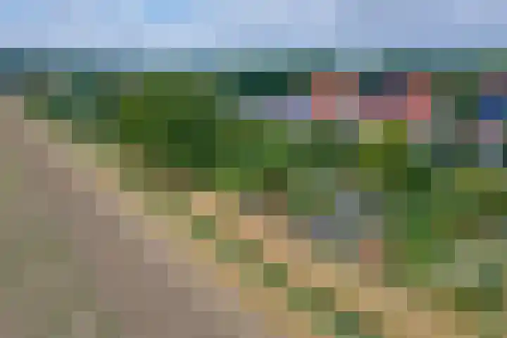 Molendijk 45 Melissant thumbnail 31